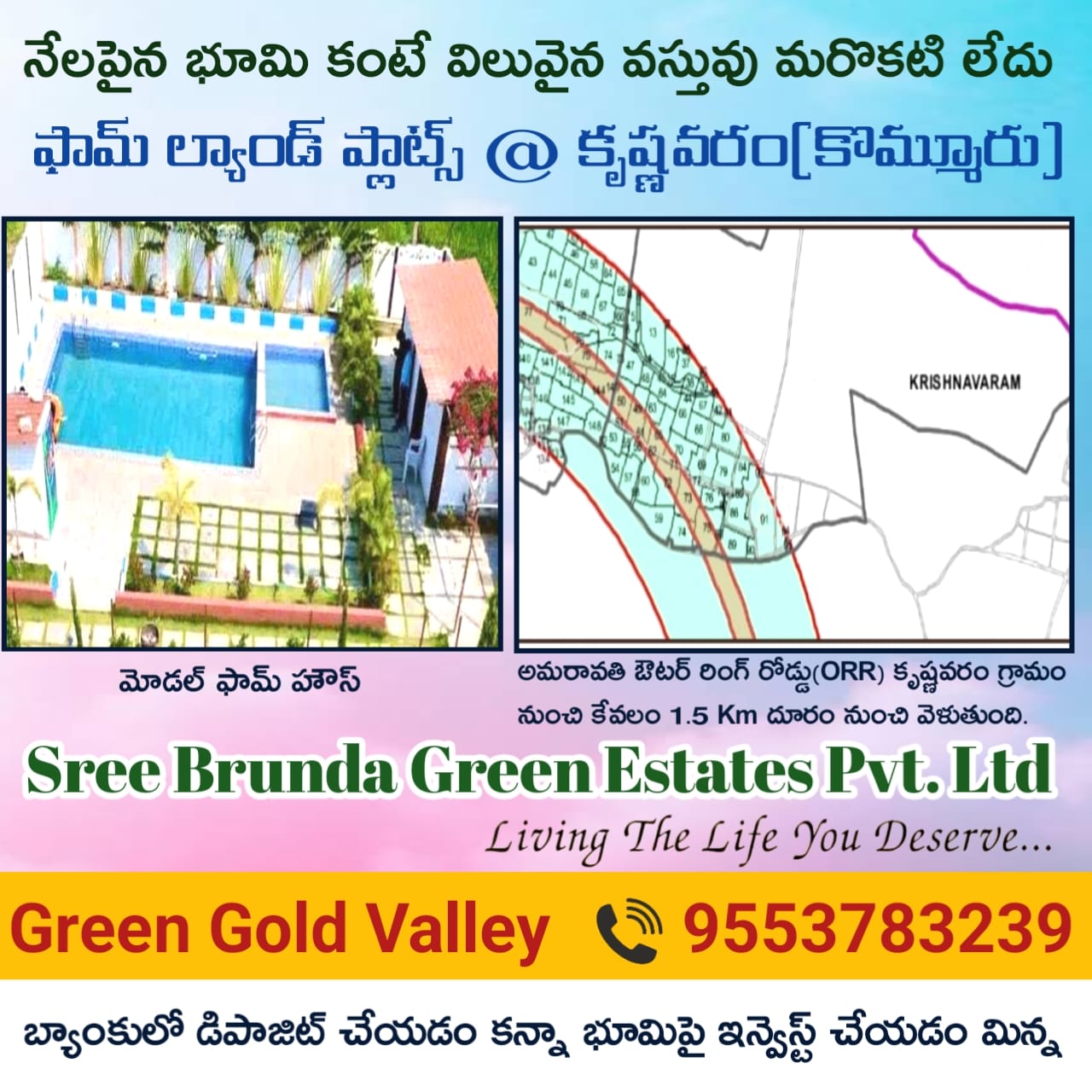 Green Gold Valley farm plot view 1